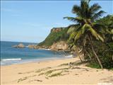 Wilderness Shore Break       - AGUADILLA